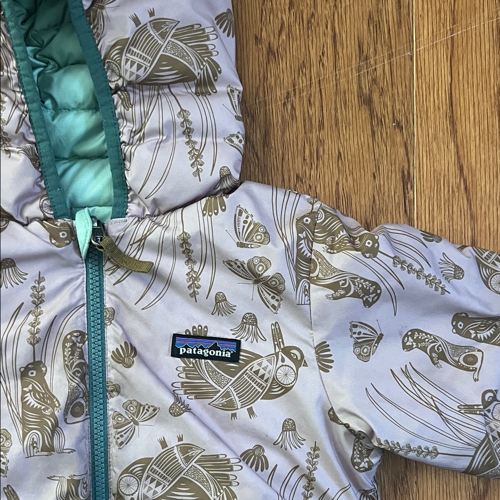 Patagonia Reversible Down Sweater Hoody